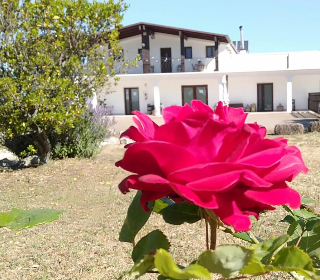 Supramurgia Agribistrot Cassano delle Murge Bagian luar foto
